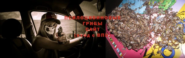 шишки Белоозёрский