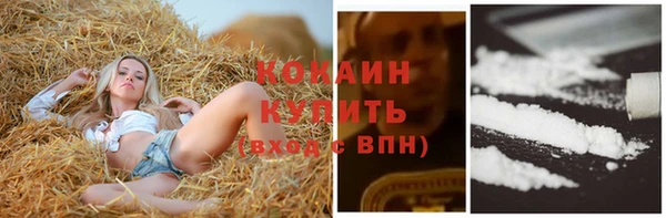 прущие грибы Балахна