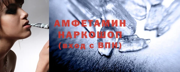 шишки Белоозёрский