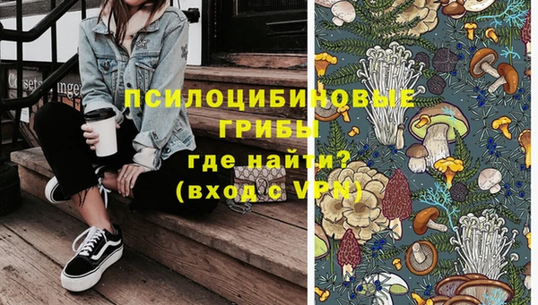 прущие грибы Балахна