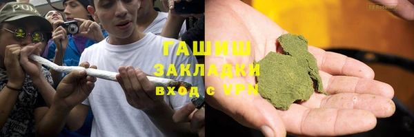 прущие грибы Балахна