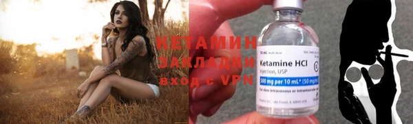 прущие грибы Балахна