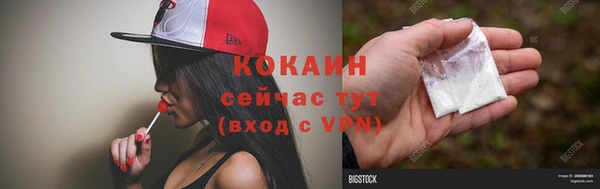 бошки Белокуриха