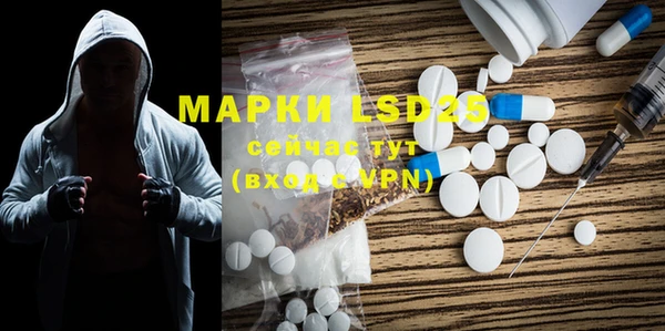 ГАЛЛЮЦИНОГЕННЫЕ ГРИБЫ Балабаново