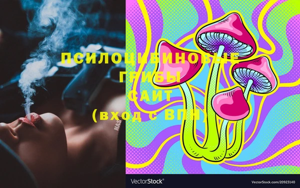 прущие грибы Балахна