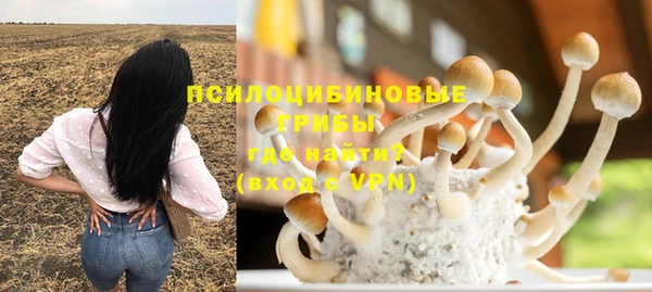 ГАЛЛЮЦИНОГЕННЫЕ ГРИБЫ Балабаново
