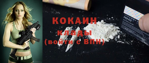 прущие грибы Балахна