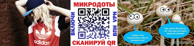 Псилоцибиновые грибы мицелий  хочу   Ершов 